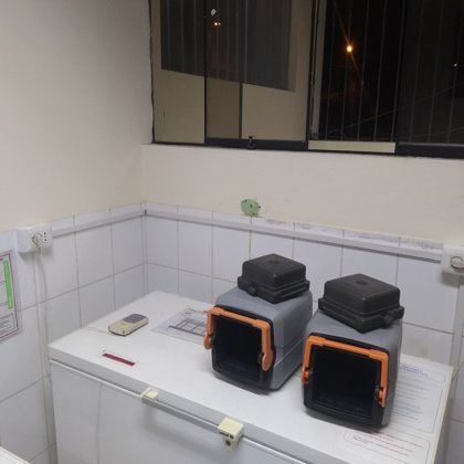 cableado colocado mediante uso de canaletas